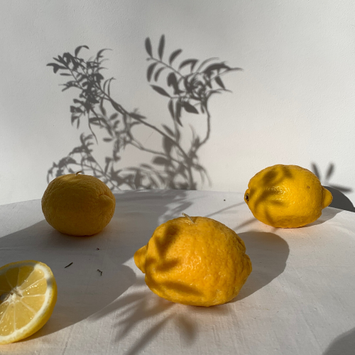 Sojų vaško žvakutė citrina